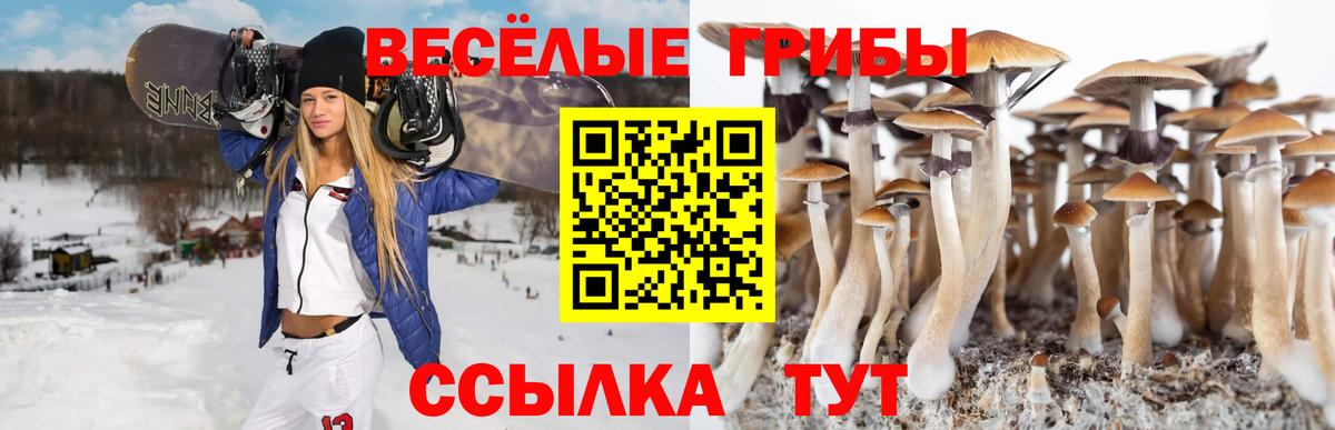 даркнет сайт  Псилоцибиновые грибы Psilocybine cubensis  Долгопрудный  Вход с VPN  Галлюциногенные грибы MAGIC MUSHROOMS 